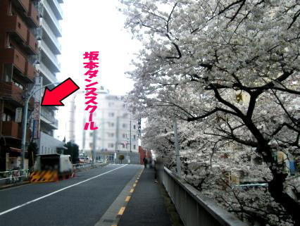 画像を等倍で表示します 画像