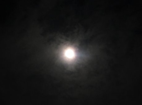 2021.11.19r.jpg