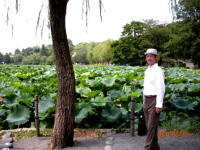 画像を等倍で表示します 画像