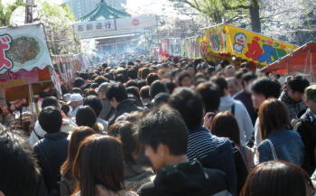 画像を等倍で表示します 画像