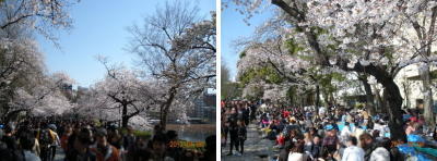 画像を等倍で表示します 画像