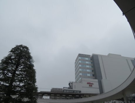 2024.3.25a.jpg