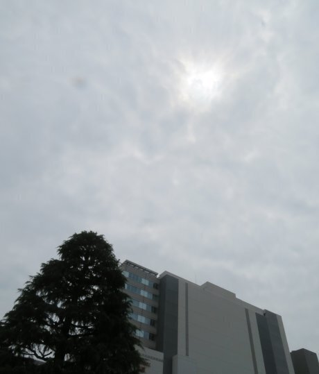 2024.6.10a.jpg