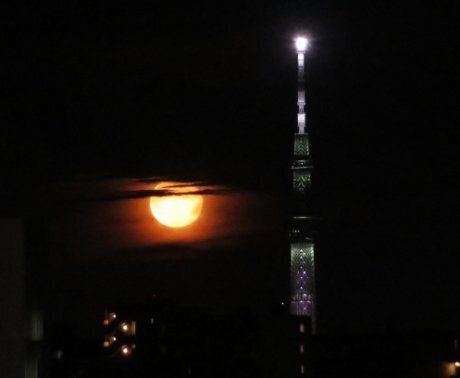 2024.8.20n.jpg