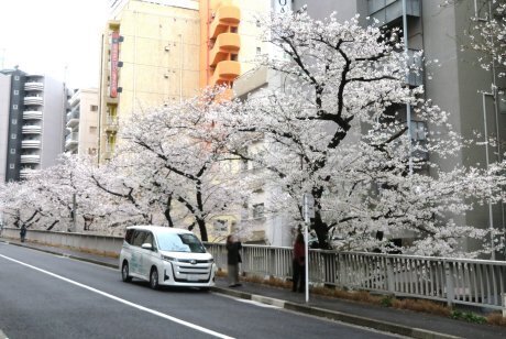 2025.3.28i.jpg