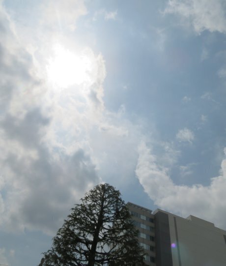 2025.4.10a.jpg