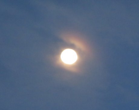 2025.4.10i.jpg