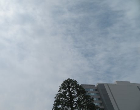 2025.5.4a.jpg