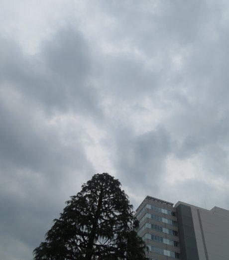 2025.6.2a.jpg
