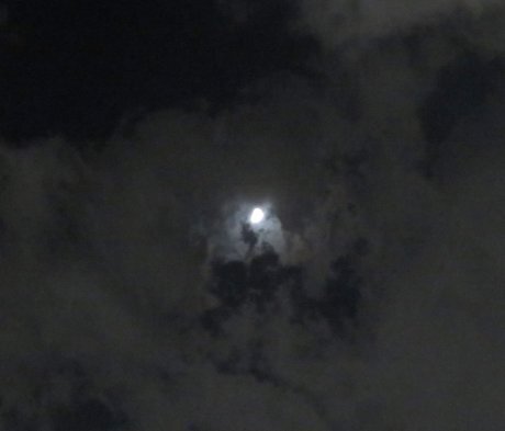 2025.6.4n.jpg
