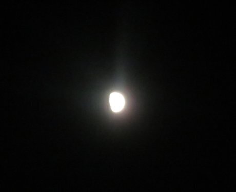 2025.6.5i.jpg