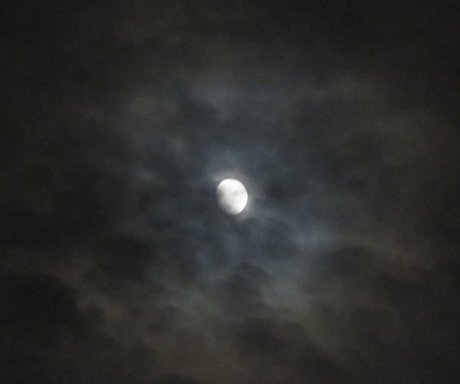 2025.6.7f.jpg