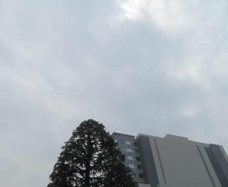 2025.6.8a.jpg